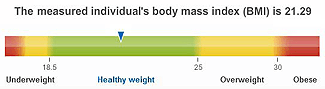 Body Mass Index Scale: healthy BMI results in better FtM neophallus