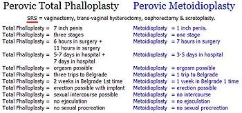 Phalloplasty Metoidioplasty compared to Perovic Total Phalloplasty Surgery