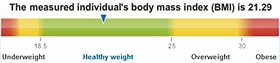 Body Mass Index Scale: healthy BMI results in better FtM neophallus